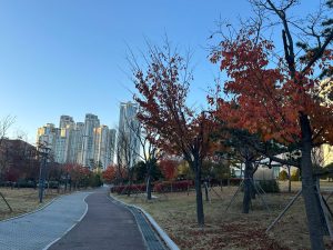 international campus 4